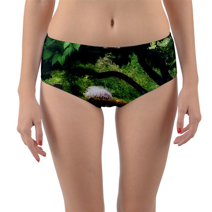 Chicago Garden of the Phoenix Reversible Mid-Waist Bikini Bottoms