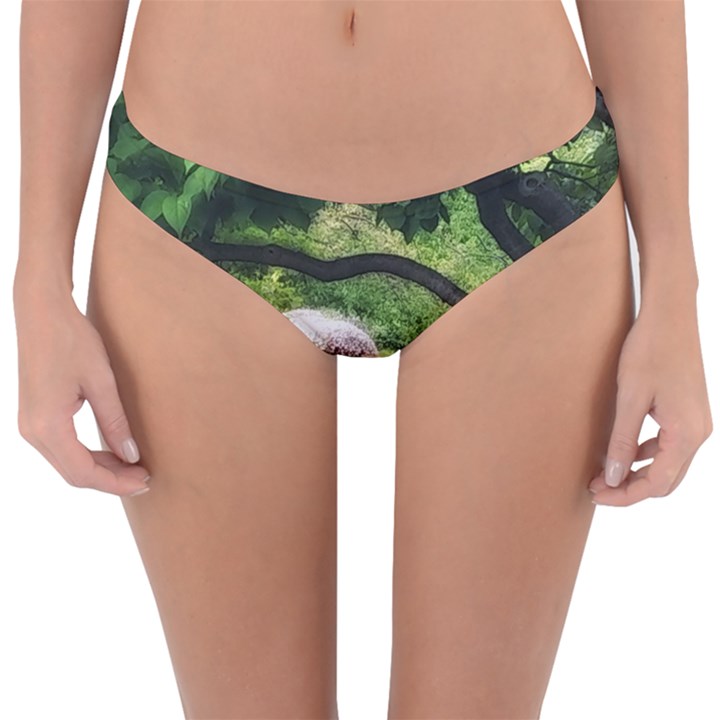 Chicago Garden of the Phoenix Reversible Hipster Bikini Bottoms