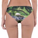 Chicago Garden of the Phoenix Reversible Hipster Bikini Bottoms View4