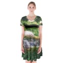 Chicago Garden of the Phoenix Short Sleeve V-neck Flare Dress View1