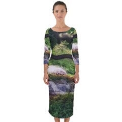 Chicago Garden of the Phoenix Quarter Sleeve Midi Bodycon Dress