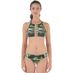 Chicago Garden of the Phoenix Perfectly Cut Out Bikini Set