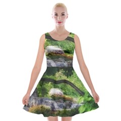 Chicago Garden of the Phoenix Velvet Skater Dress