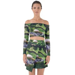 Chicago Garden of the Phoenix Off Shoulder Top with Skirt Set