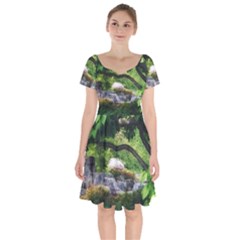 Chicago Garden of the Phoenix Short Sleeve Bardot Dress