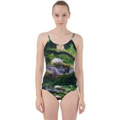 Chicago Garden of the Phoenix Cut Out Top Tankini Set