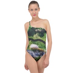 Chicago Garden of the Phoenix Classic One Shoulder Swimsuit