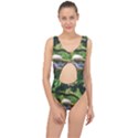 Chicago Garden of the Phoenix Center Cut Out Swimsuit View1