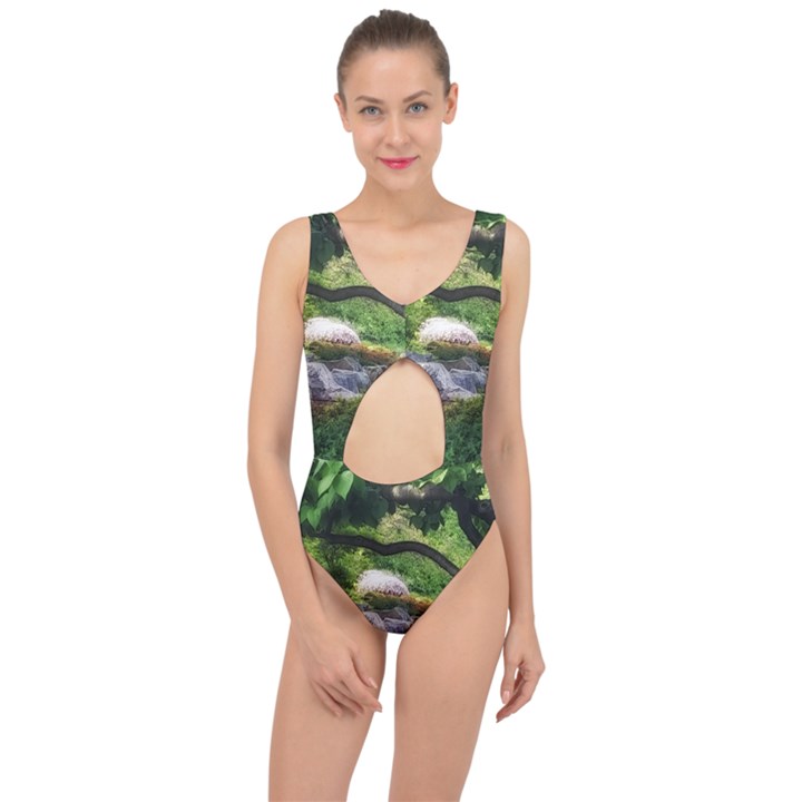 Chicago Garden of the Phoenix Center Cut Out Swimsuit