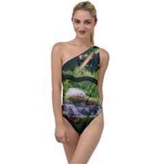 Chicago Garden of the Phoenix To One Side Swimsuit