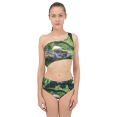 Chicago Garden of the Phoenix Spliced Up Two Piece Swimsuit