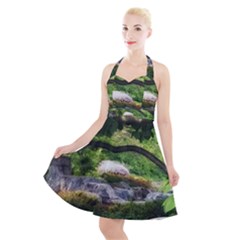 Chicago Garden of the Phoenix Halter Party Swing Dress 