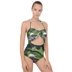 Chicago Garden of the Phoenix Scallop Top Cut Out Swimsuit