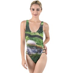 Chicago Garden Of The Phoenix High Leg Strappy Swimsuit