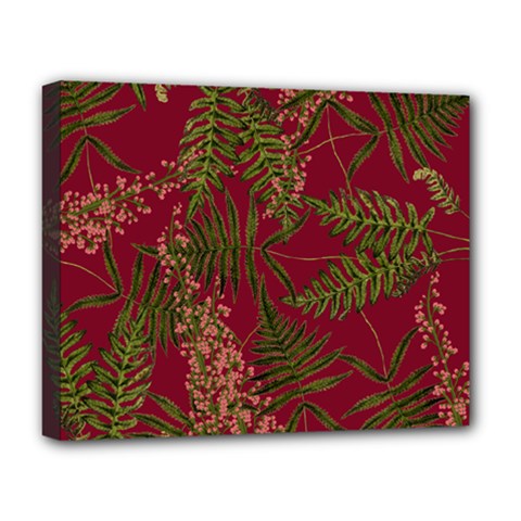 Fern Red Deluxe Canvas 20  X 16  (stretched) by snowwhitegirl