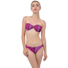 Tropical Pink Leaves Classic Bandeau Bikini Set