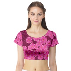 Cherry Blossoms Floral Design Short Sleeve Crop Top by Pakrebo