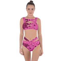 Cherry Blossoms Floral Design Bandaged Up Bikini Set 