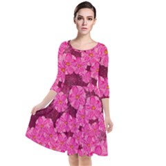 Cherry Blossoms Floral Design Quarter Sleeve Waist Band Dress