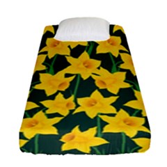 Yellow Daffodils Pattern Fitted Sheet (single Size) by Valentinaart