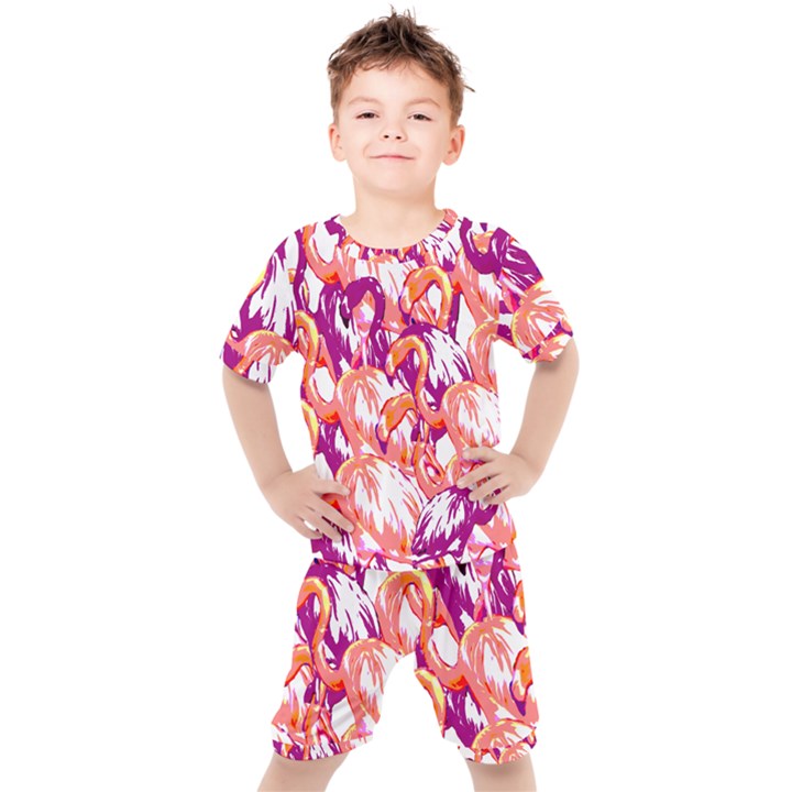 Flamingos Kids  Tee and Shorts Set