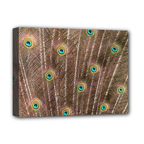 Peacock Feather Bird Exhibition Deluxe Canvas 16  X 12  (stretched)  by Pakrebo