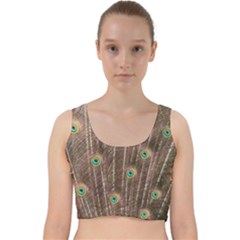 Peacock Feather Bird Exhibition Velvet Racer Back Crop Top by Pakrebo