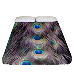 Peacock Bird Pattern Fitted Sheet (queen Size) by Pakrebo