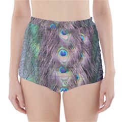 Peacock Bird Pattern High-waisted Bikini Bottoms by Pakrebo