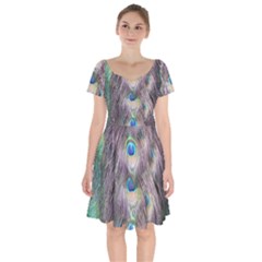 Peacock Bird Pattern Short Sleeve Bardot Dress by Pakrebo