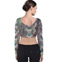 Peacock Bird Pattern Velvet Long Sleeve Crop Top View2