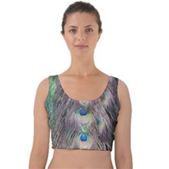 Peacock Bird Pattern Velvet Crop Top by Pakrebo