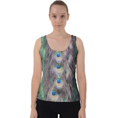 Peacock Bird Pattern Velvet Tank Top by Pakrebo