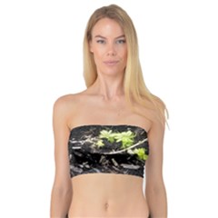 Signs Of Spring Bandeau Top by Riverwoman