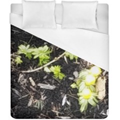 Signs Of Spring Duvet Cover (california King Size) by Riverwoman