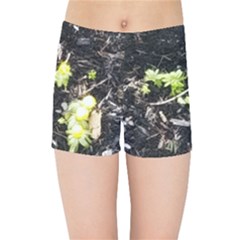 Signs Of Spring Kids  Sports Shorts by Riverwoman