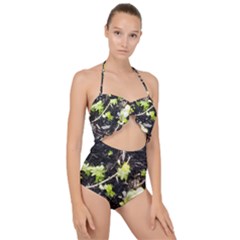 Signs Of Spring Scallop Top Cut Out Swimsuit