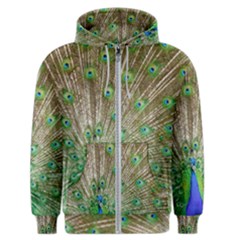 Peacock Color Bird Colorful Men s Zipper Hoodie by Pakrebo