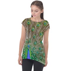 Peacock Color Bird Colorful Cap Sleeve High Low Top by Pakrebo