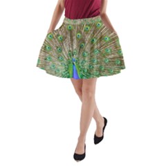 Peacock Color Bird Colorful A-line Pocket Skirt by Pakrebo