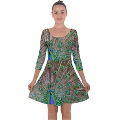 Peacock Color Bird Colorful Quarter Sleeve Skater Dress by Pakrebo