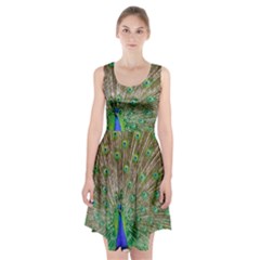 Peacock Color Bird Colorful Racerback Midi Dress by Pakrebo