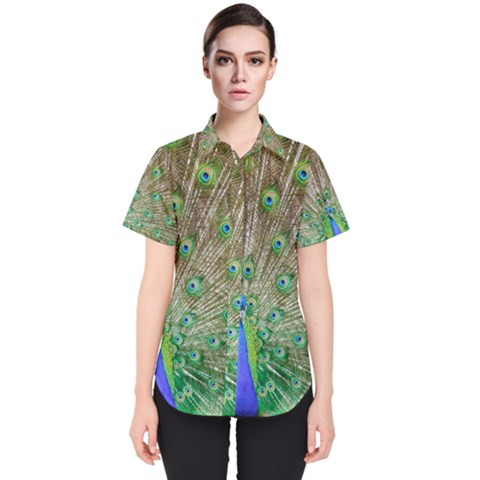 Peacock Color Bird Colorful Women s Short Sleeve Shirt by Pakrebo