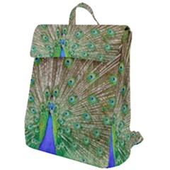 Peacock Color Bird Colorful Flap Top Backpack