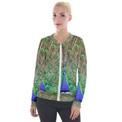 Peacock Color Bird Colorful Velour Zip Up Jacket