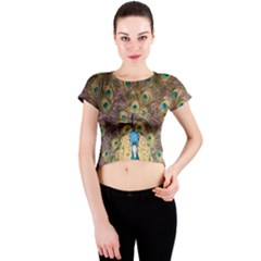 Peacock Feather Peacock Feather Crew Neck Crop Top by Pakrebo