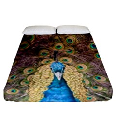 Peacock Feather Peacock Feather Fitted Sheet (california King Size) by Pakrebo