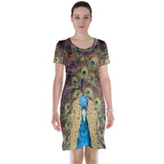 Peacock Feather Peacock Feather Short Sleeve Nightdress by Pakrebo