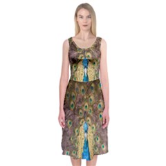 Peacock Feather Peacock Feather Midi Sleeveless Dress by Pakrebo