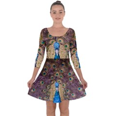 Peacock Feather Peacock Feather Quarter Sleeve Skater Dress by Pakrebo